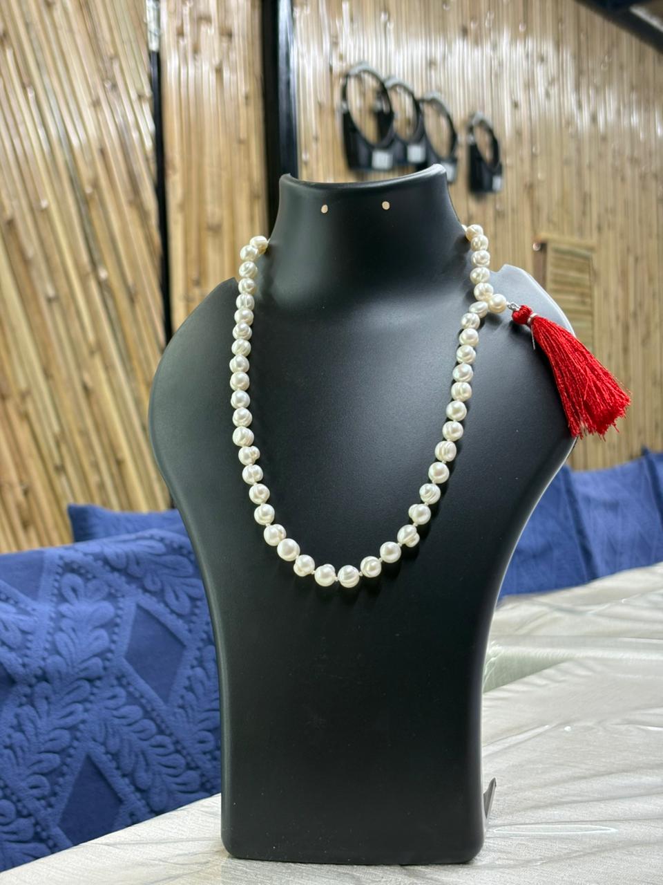 Pearl Harvesting at Nova Pearl Farm